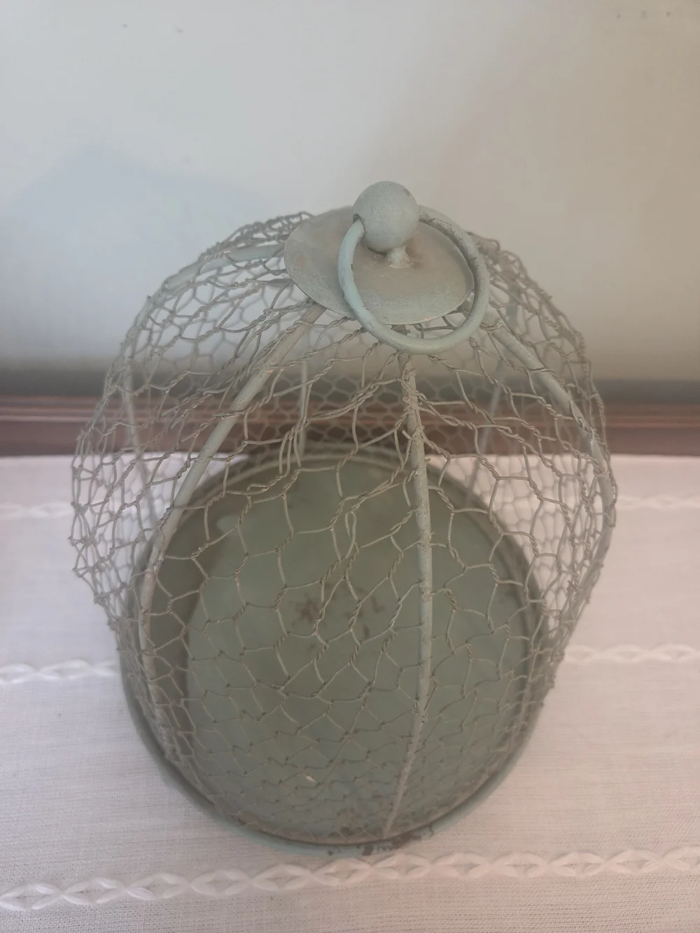 Decorative  Farmhouse Wire Dome Cloche - Pale Sage Green